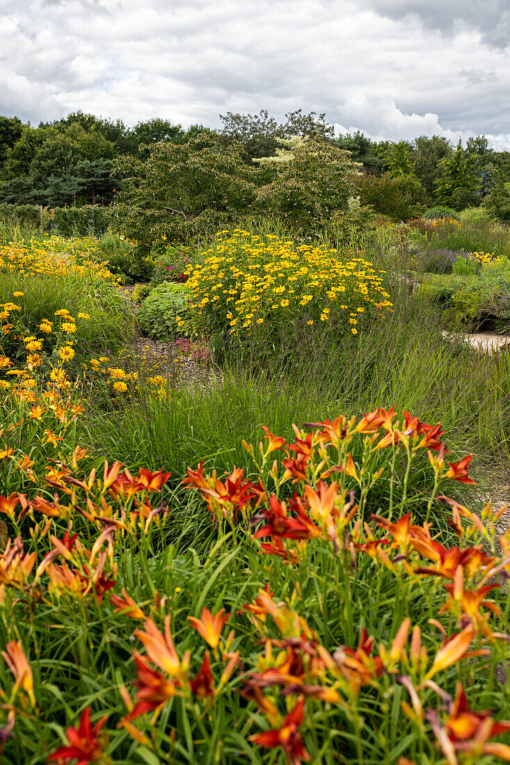 Perennial bed