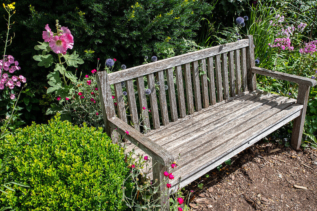 Bench in the garden