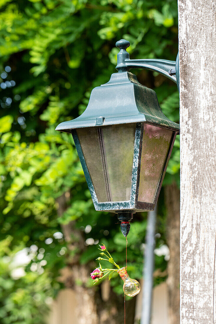 Garden decoration - Lantern