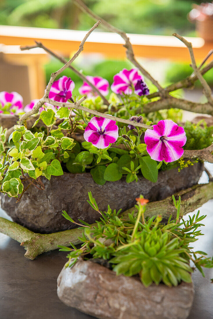 Patio decoration - Table arrangement