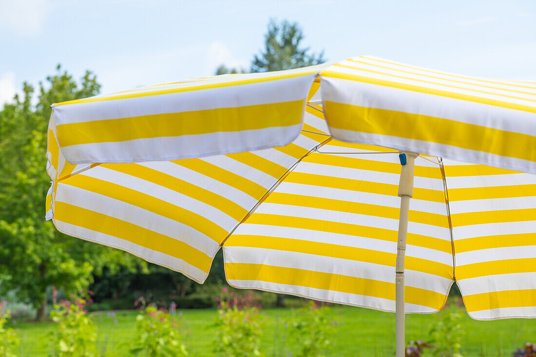 Parasol in the garden