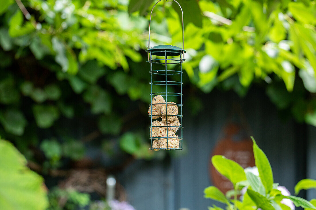 Gartendekoration - Vogelfutterstation
