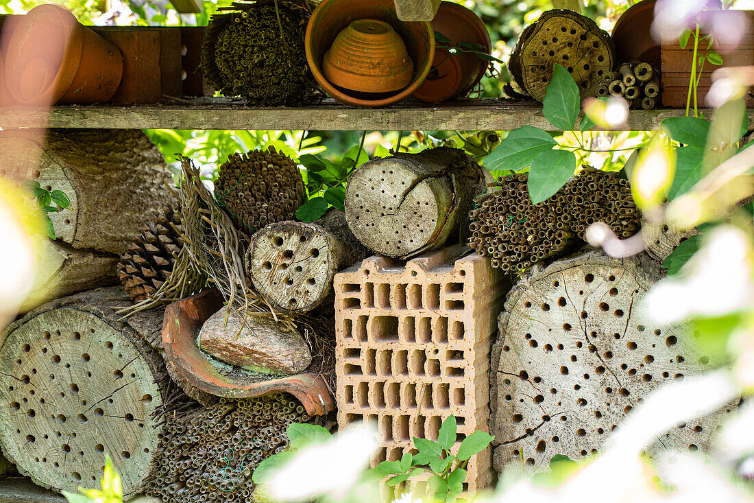 Bee hotel