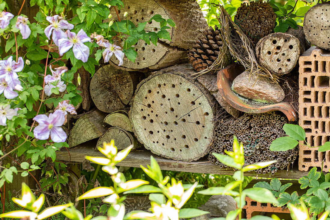 Bee hotel