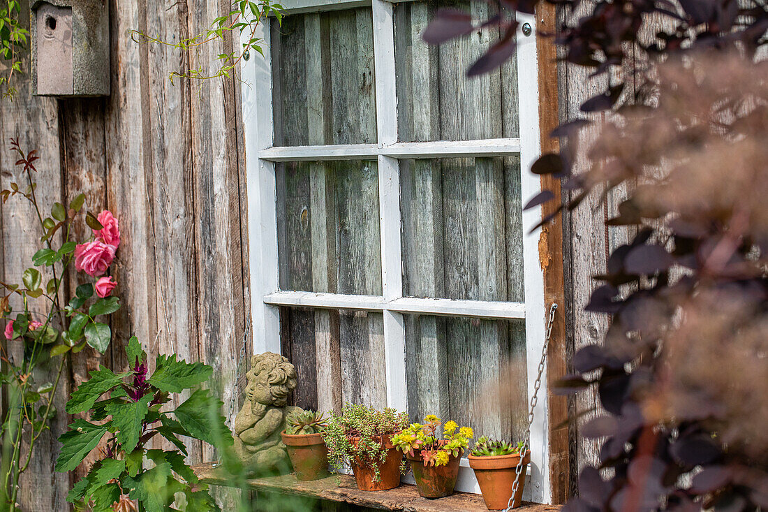 Garden decoration - Window frames