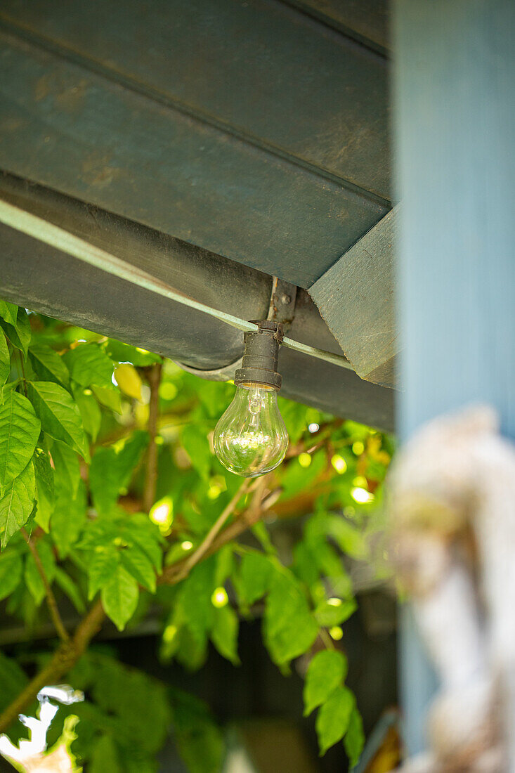 Garden lighting - fairy lights