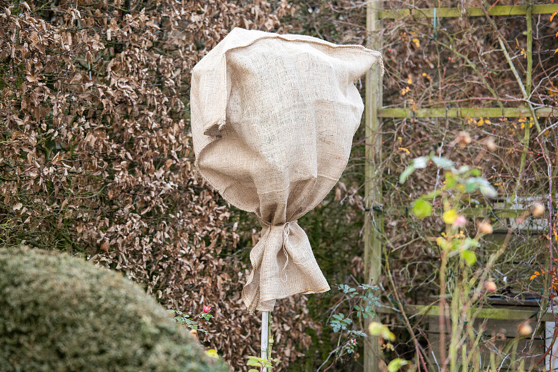 Antifreeze - Jute bag