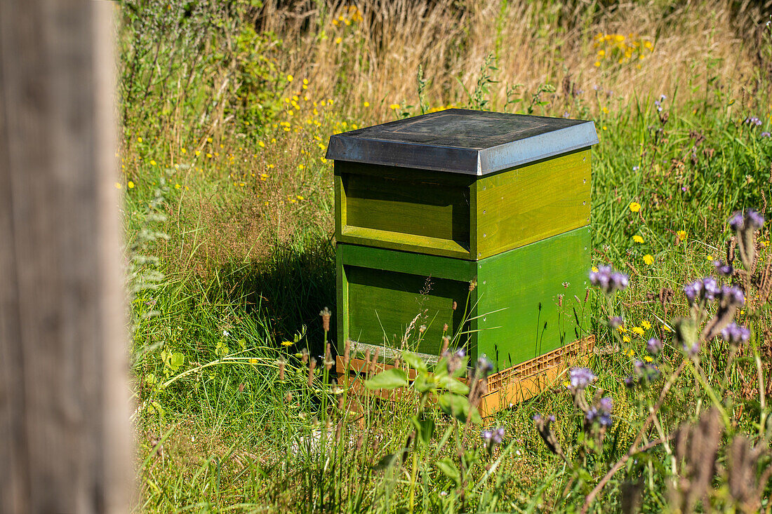 Bienenstock im Garten