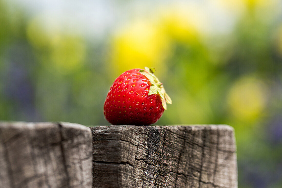 Strawberry