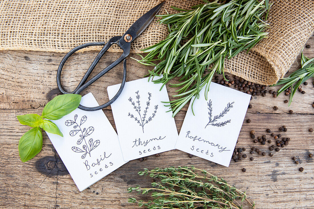 Herb seeds and herbs