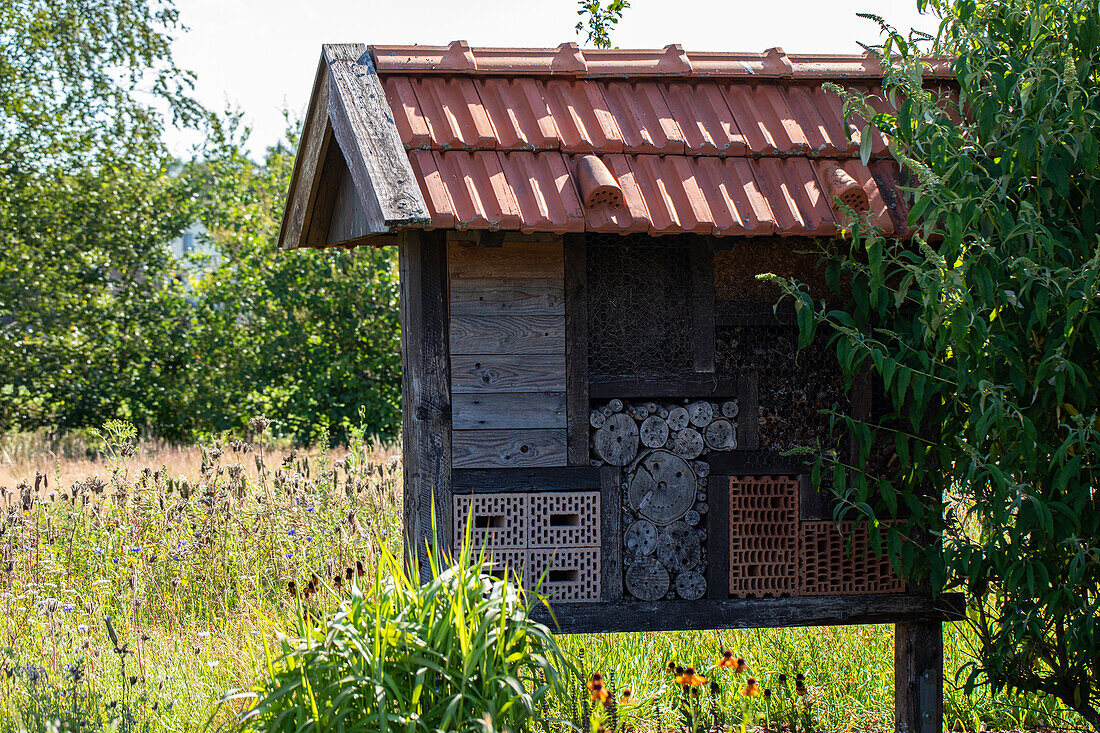 Bee hotel in the garden