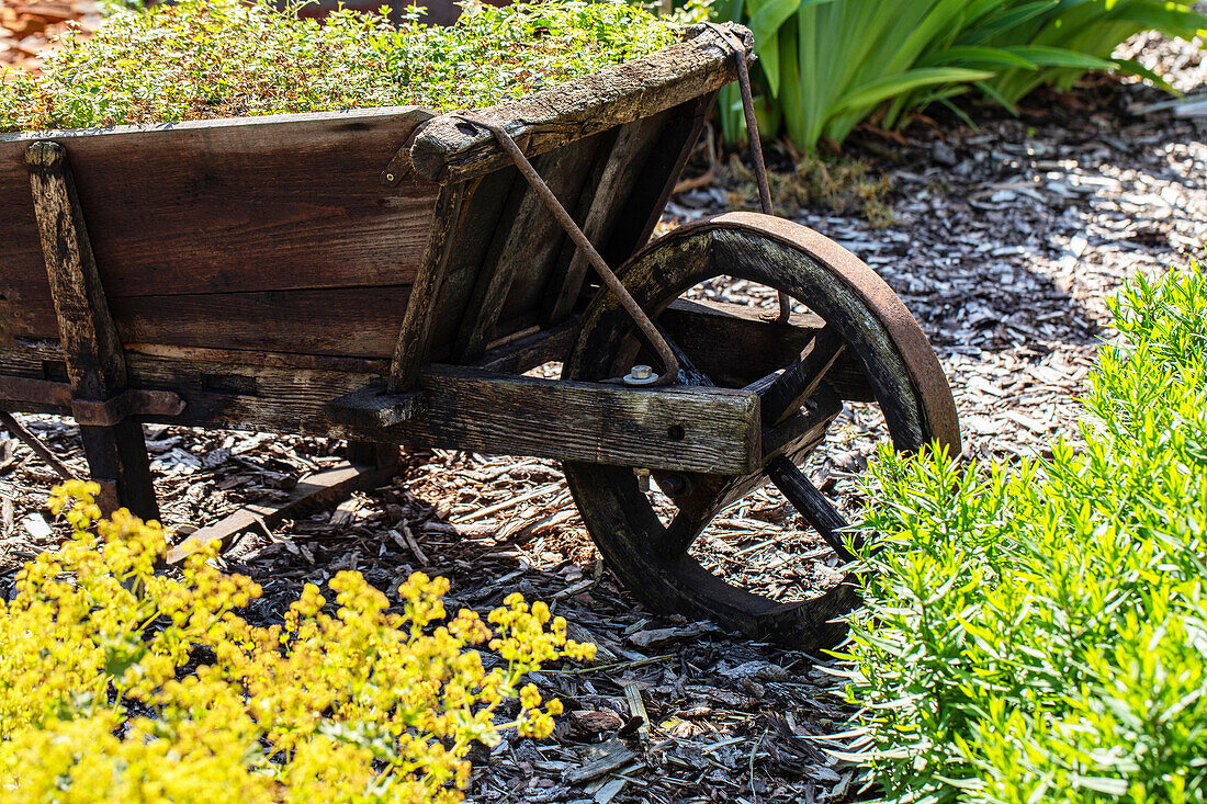 Garden decoration - Wooden wagon