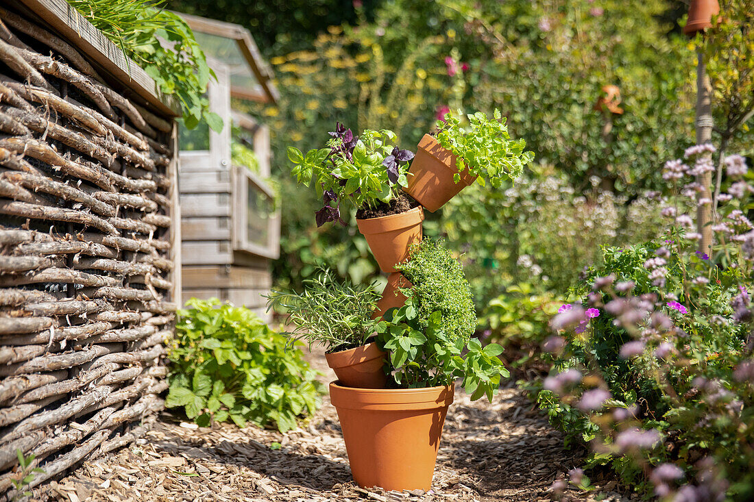 Herb tower in ambience