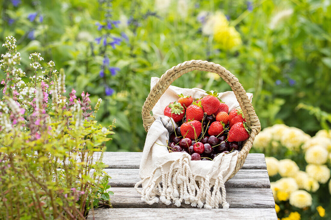 Korb mit Erdbeeren und Kirschen