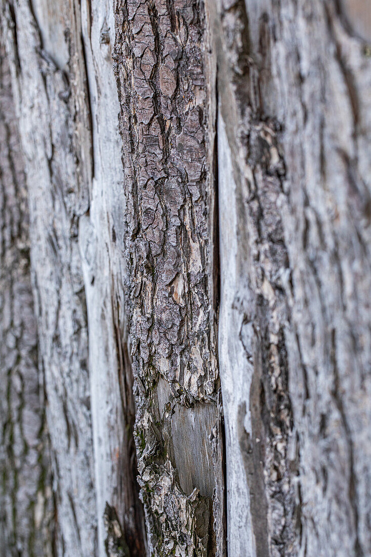 Structure - wood