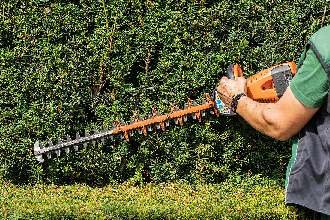 Gardening tools: Electric hedge trimmer