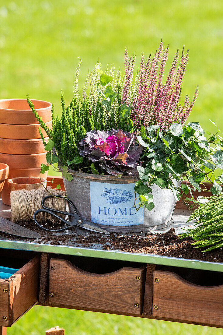 Planter in ambience