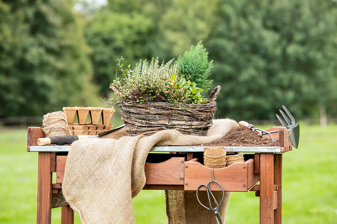 Kleiner Balkonkasten im Ambiente