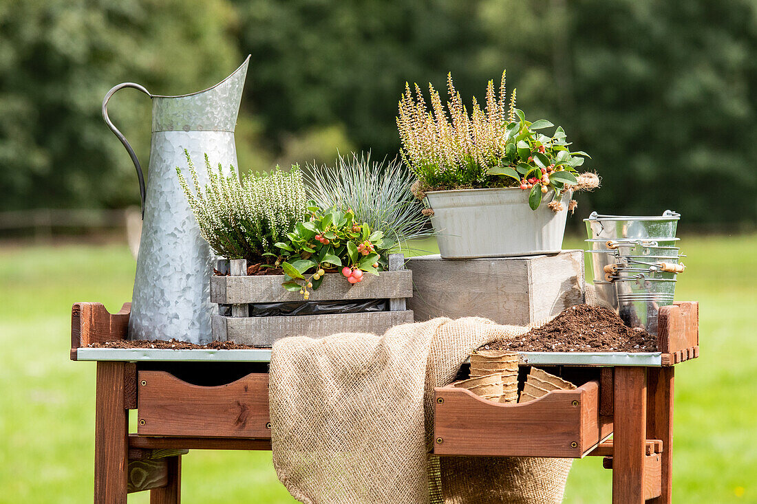 Pflanzgefäße im Ambiente