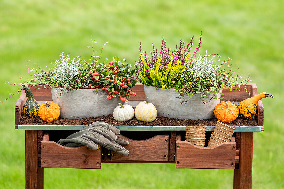 Pflanzgefäße im Herbst - Ambiente