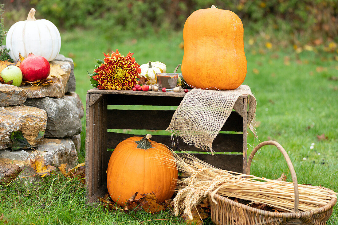 Autumn decoration with pumpkins