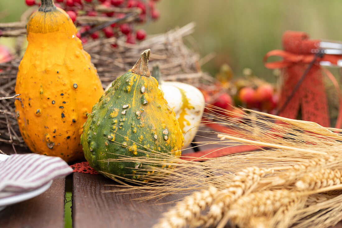 Herbstliche Dekoration mit Kürbissen