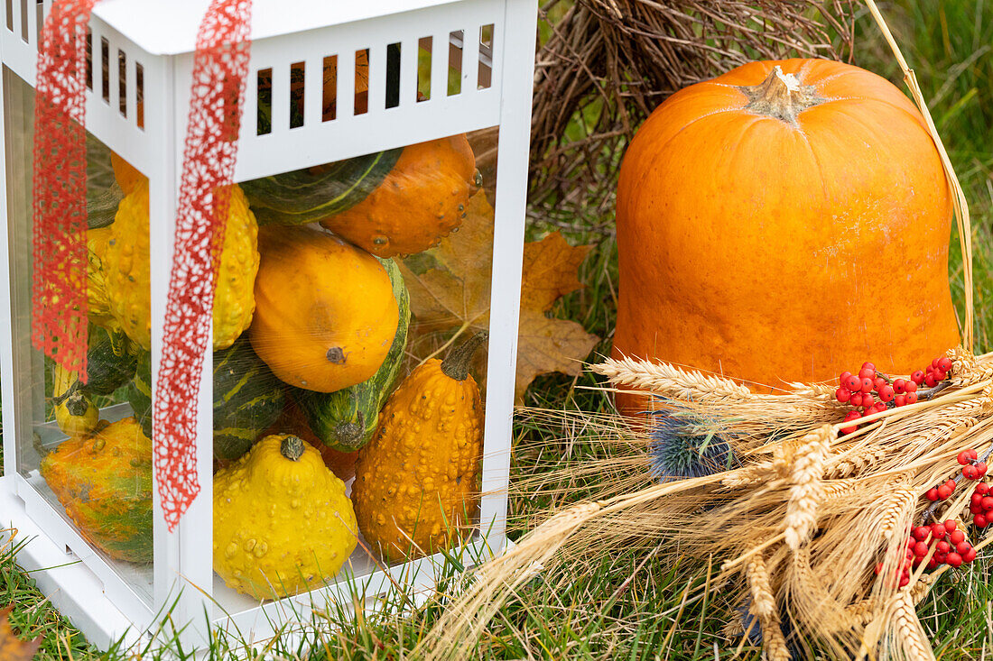 Herbstliche Dekoration mit Kürbissen