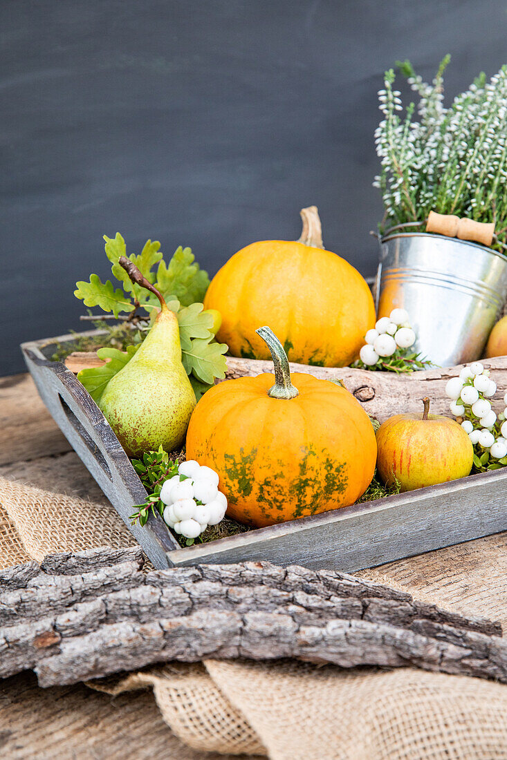 Herbstdeko - Kürbisse auf einem Tablett