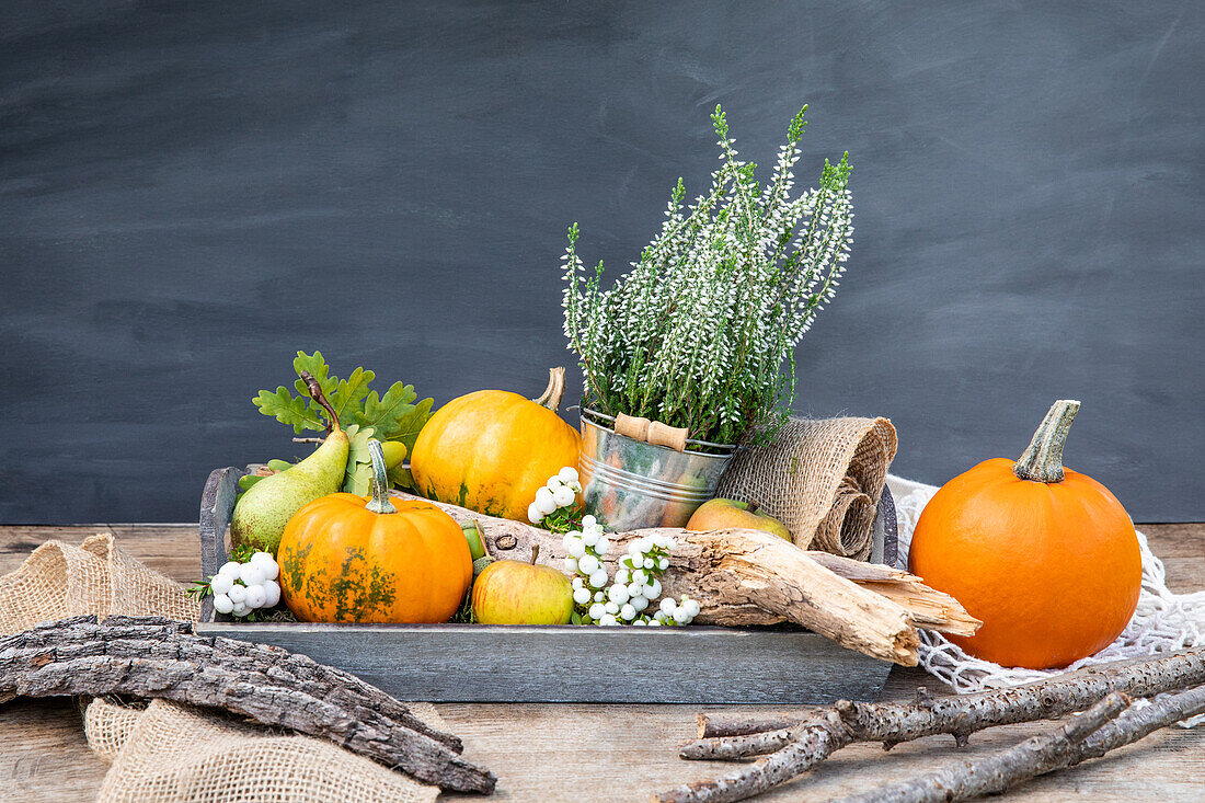 Herbstdeko - Kürbisse und Heide