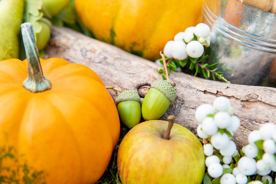 Herbstdeko - Eicheln