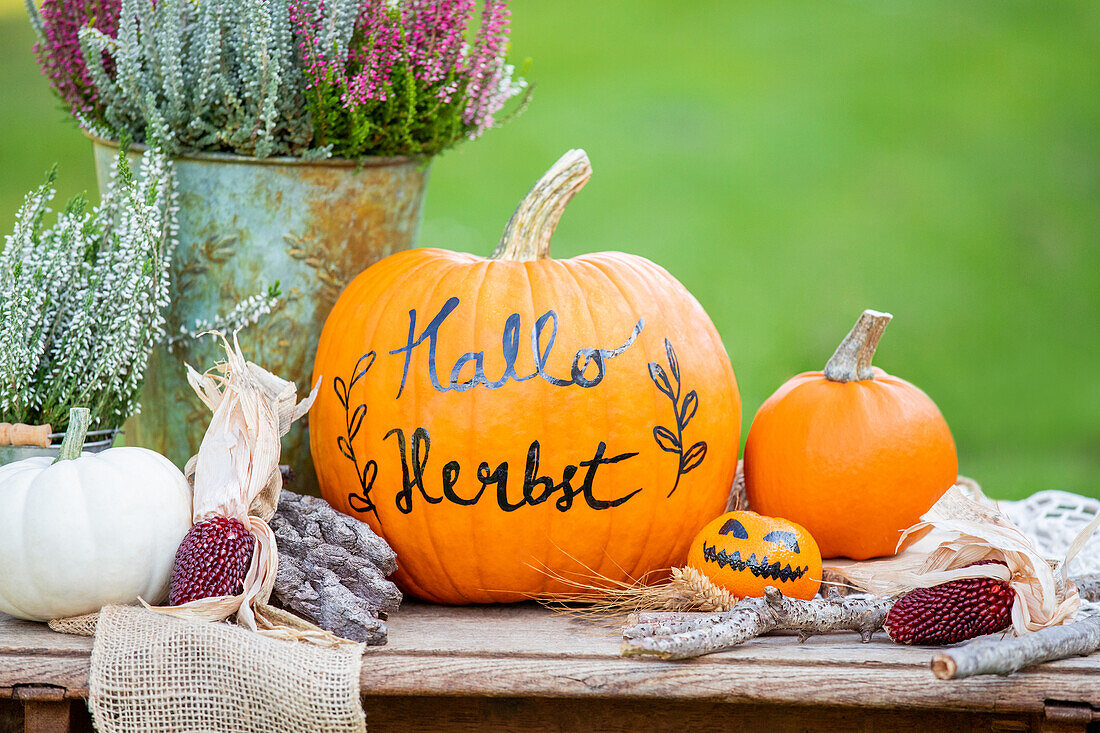 Herbstdeko - Kürbisse und Heide