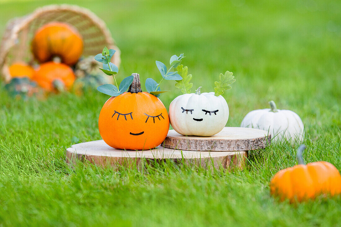 Autumn decoration - Painted pumpkins