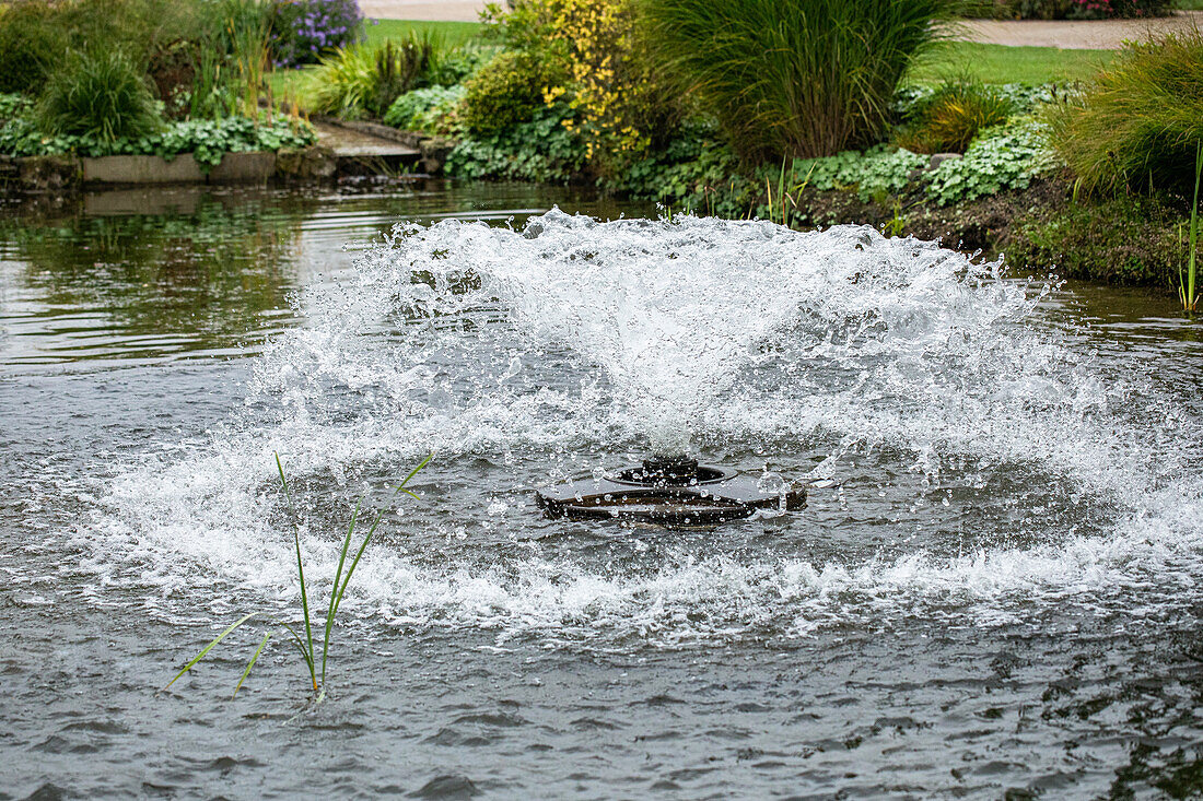 Brunnen