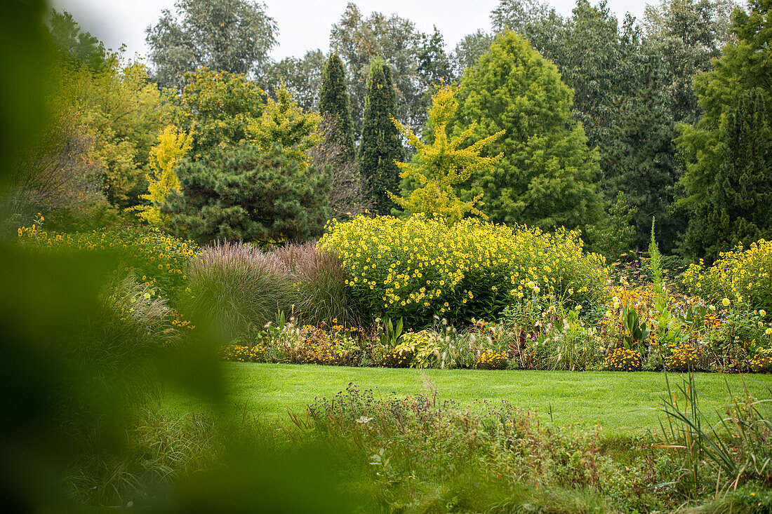 Garden planting