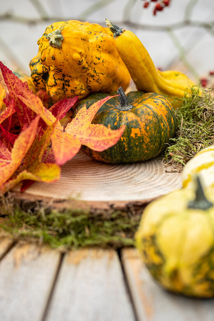 Herbstambiente - Kürbisse