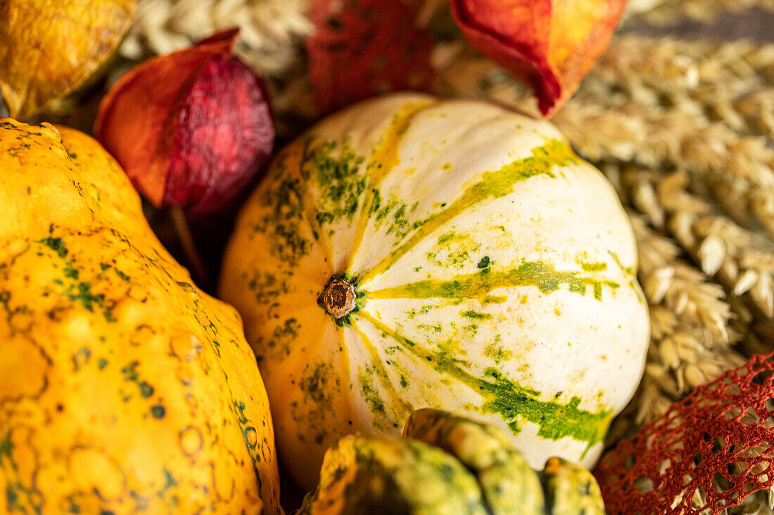 Herbstambiente - Kürbisse