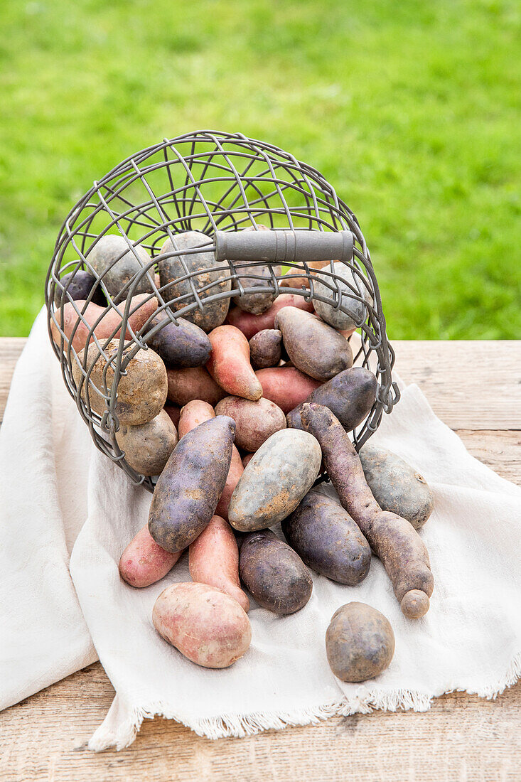 different types of potatoes