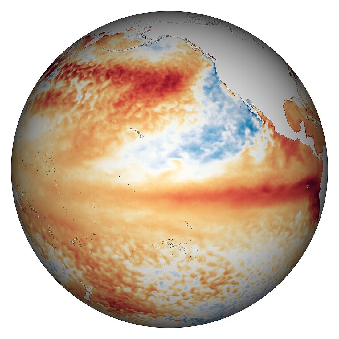 Sea surface temperatures in Pacific Ocean 2023