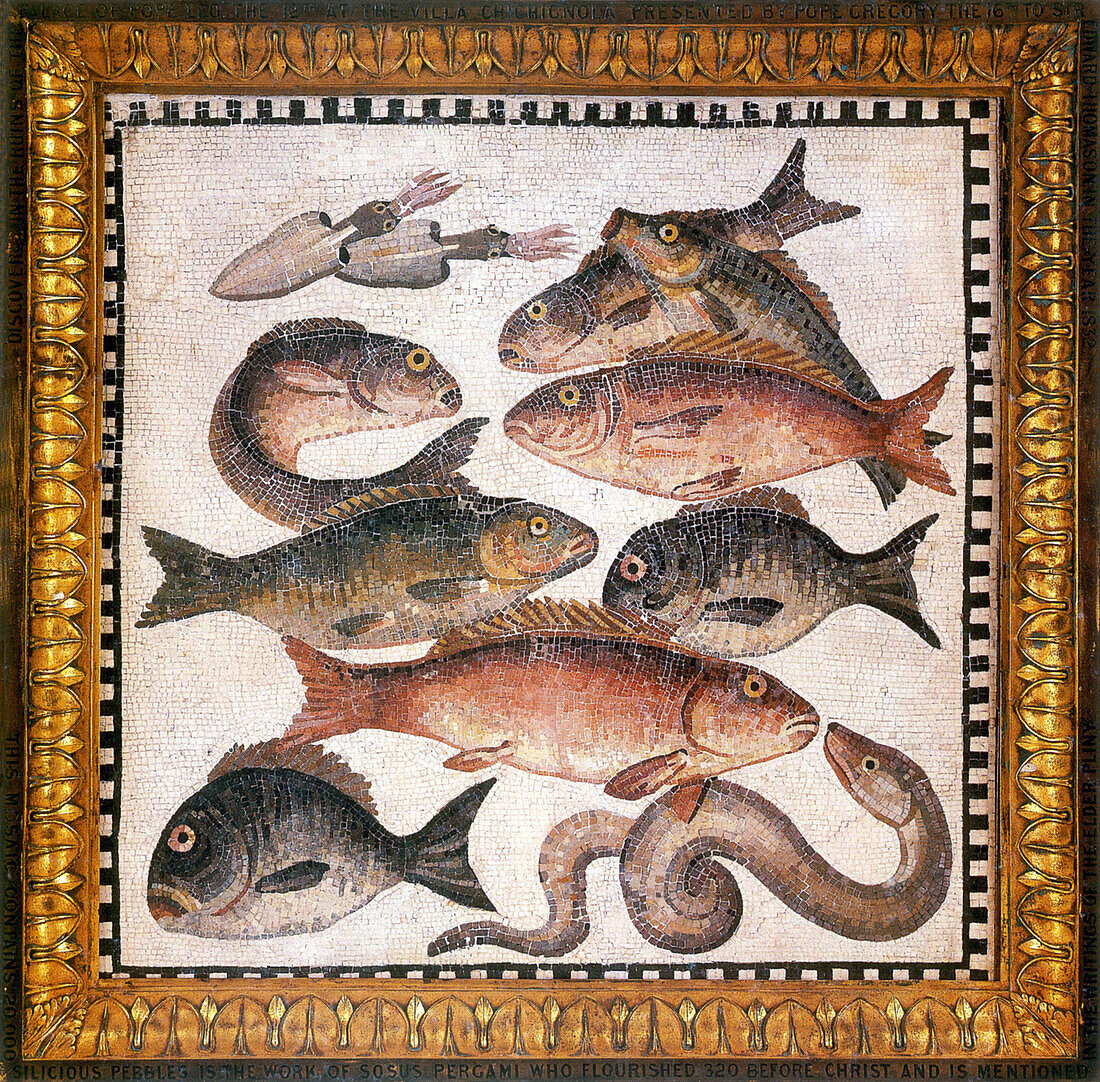 Roman marine mosaic, illustration