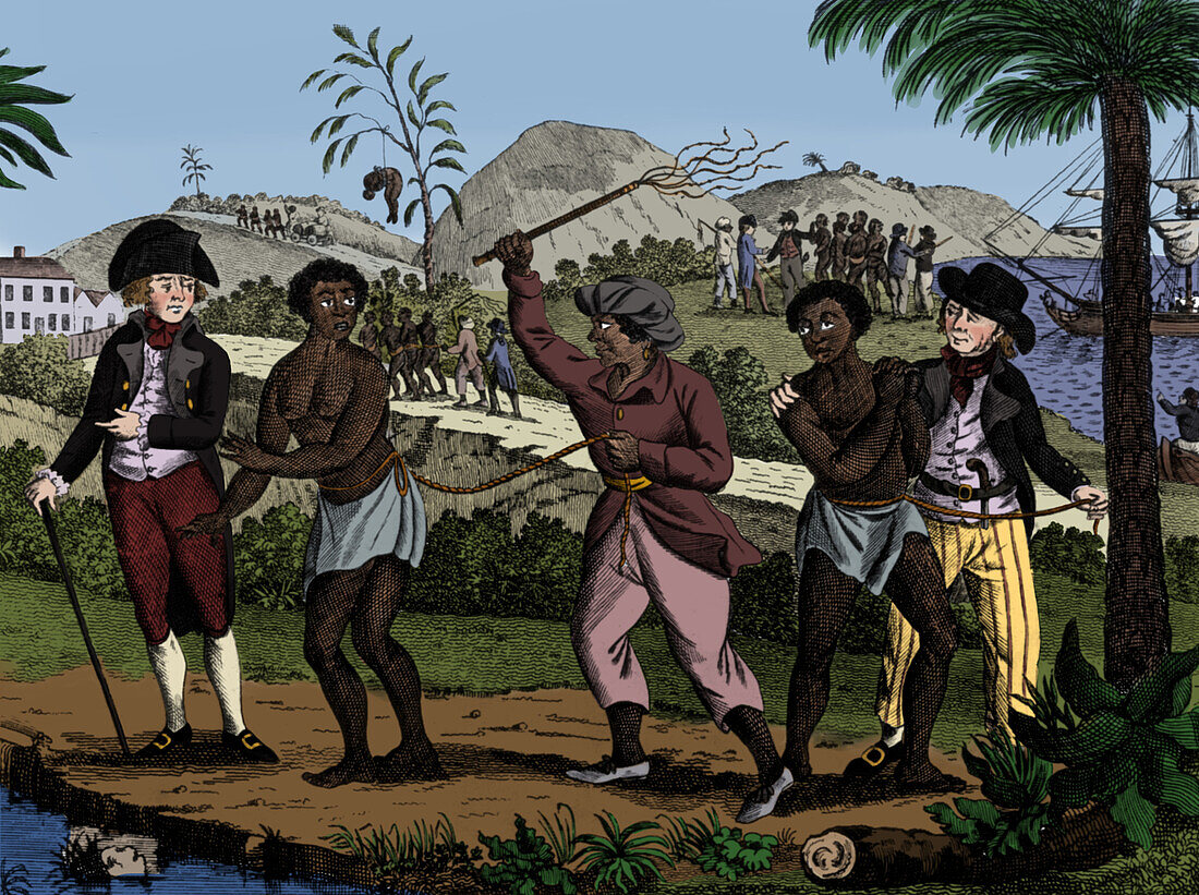 Caribbean slave trade, 18th century illustration