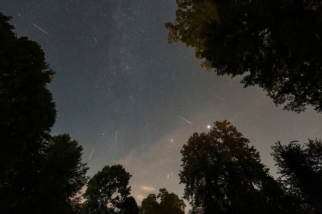 Perseid meteor shower, composite image