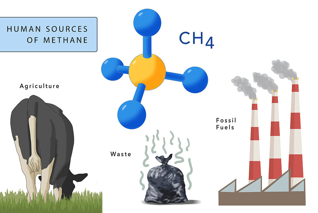 Human sources of methane, illustration
