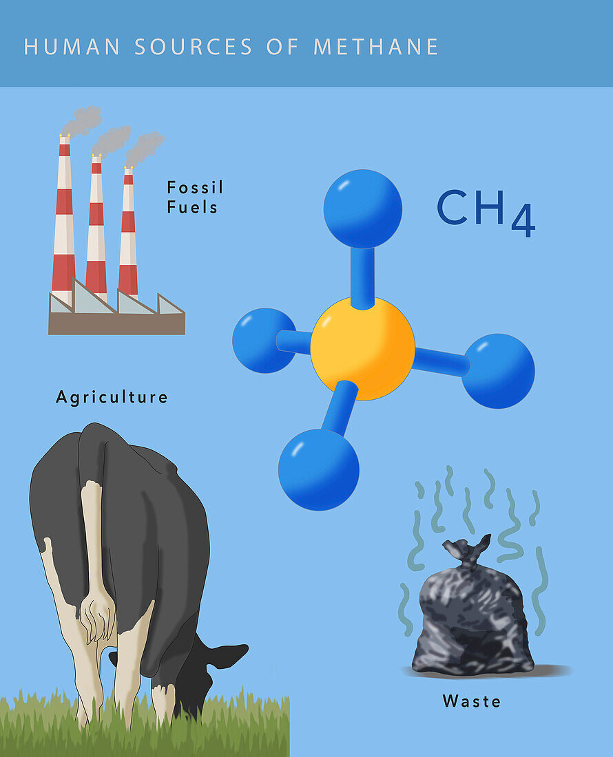 Human sources of methane, illustration