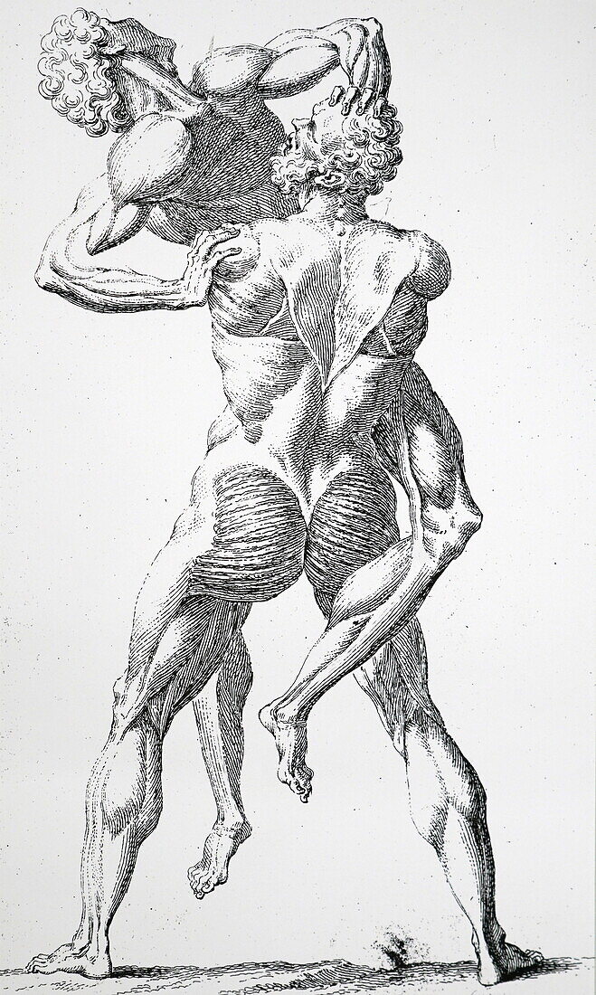 Hercules and Antaeus wrestling, illustration
