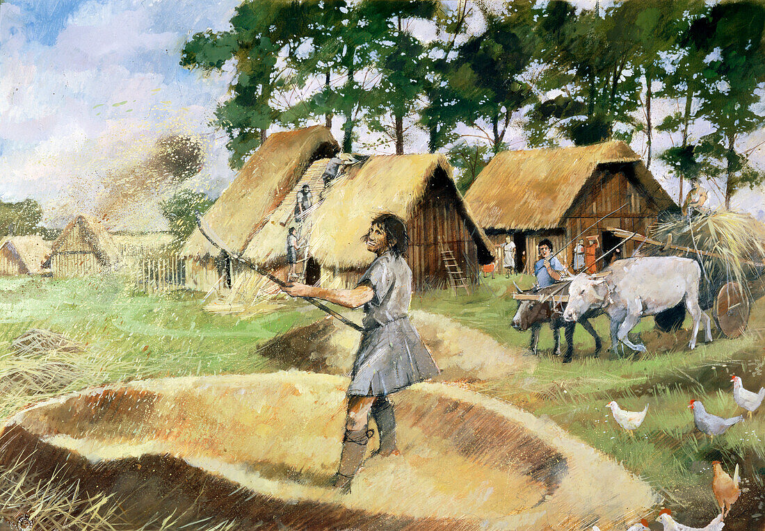 Roman farming, illustration