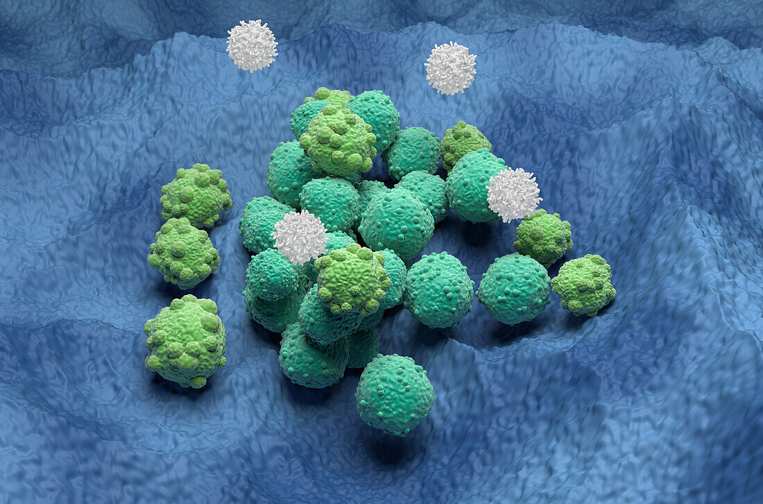 T cells attacking lung cancer cells, illustration