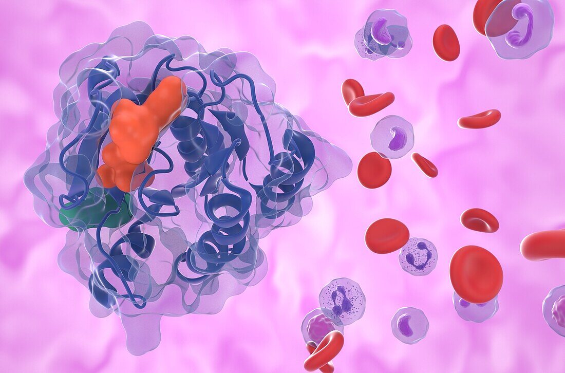 KRAS G12C oncogene product, illustration