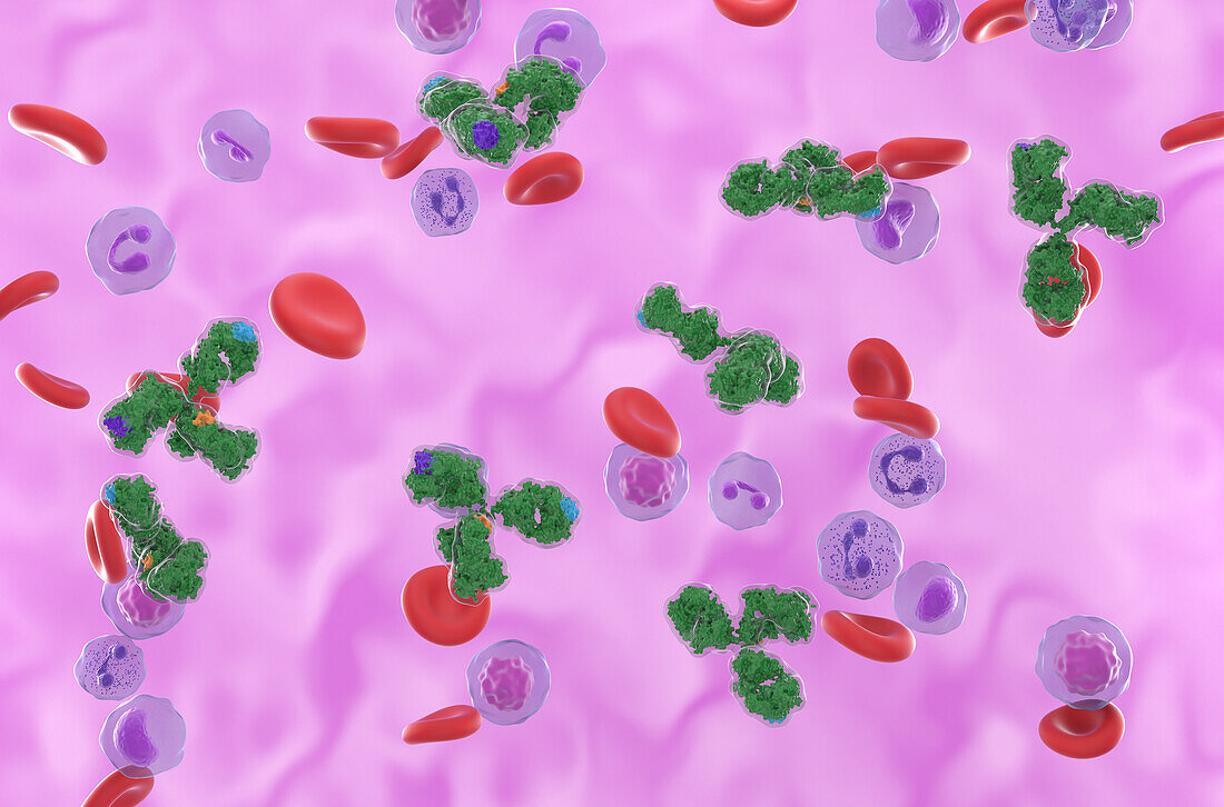 Monoclonal antibodies, illustration