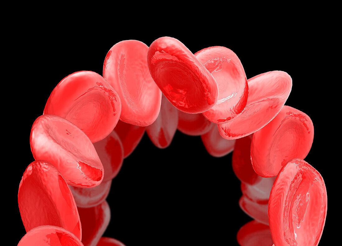 Red blood cells, illustration