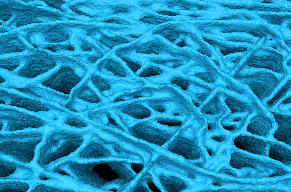 Bio-artificial tissue scaffold, illustration